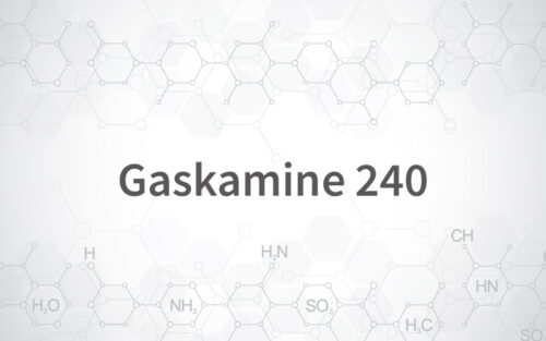 Gaskamine 240